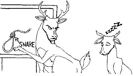 The Fawn Who Played Hooky