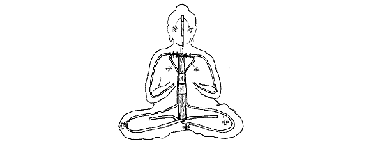 fig2